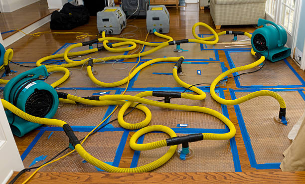 Professional Storm Water Damage Restoration technician working in Excelsior Springs, MO